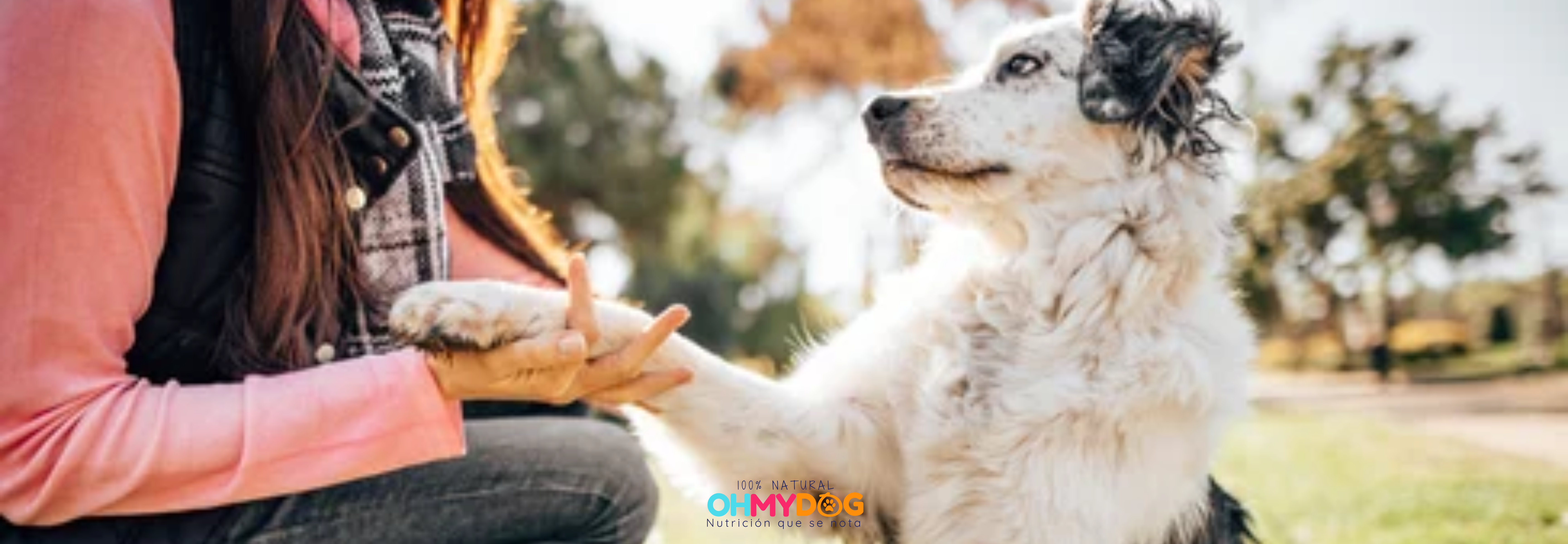 OHMYDOG El Salvador ... Una Distribuidora de marcas internacionales consientes y sinceras en la producción de alimento, suplementos, treats y snacks nutricionales y 100% naturales para mascotas, perros y gatos de todas las edades