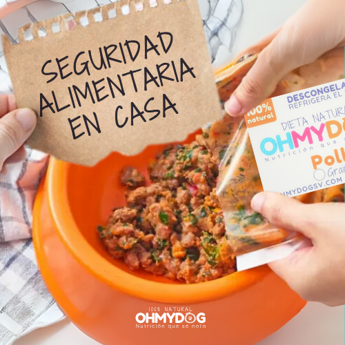 Guia para la Seguridad Alimentaria en casa de OHMYDOG