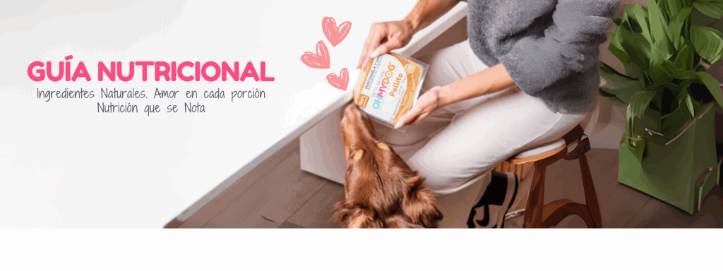 Guia Nutricional de OHMYDOG para hacer el cambio a la dieta natural