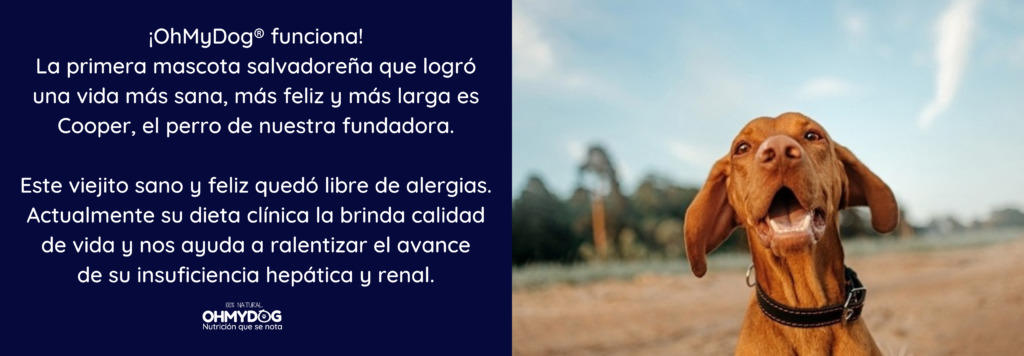 Alimento Natural para perros enfermos OhMyDog