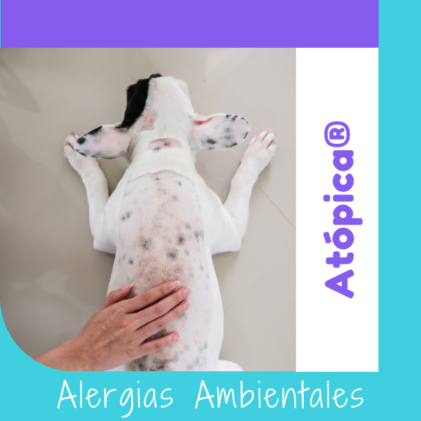 Dieta Atópica OHMYDOG