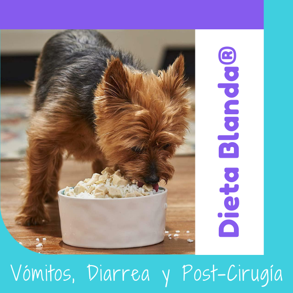 Dieta Blanda®