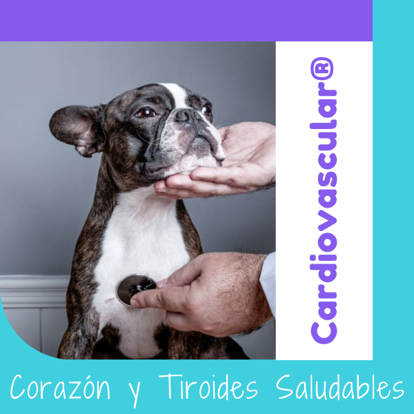 Dieta Cardiovascular®
