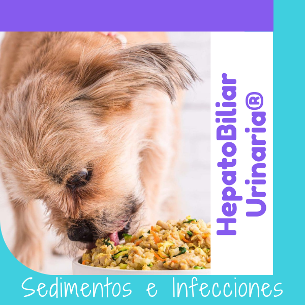 Dieta Hepatobiliar Urinaria OHMYDOG