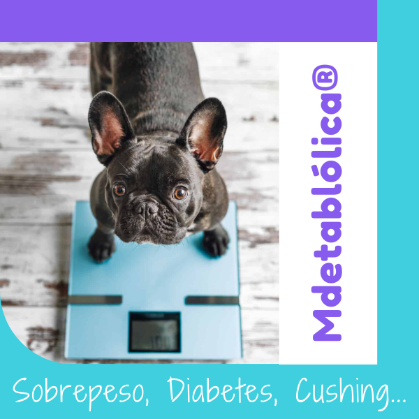 Dieta Metabólica®