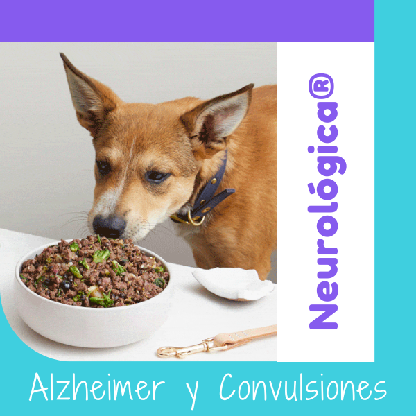 Dieta Neurológica OHMYDOG