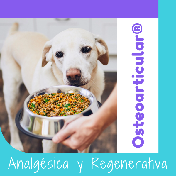 Dieta Osteoarticular OHMYDOG