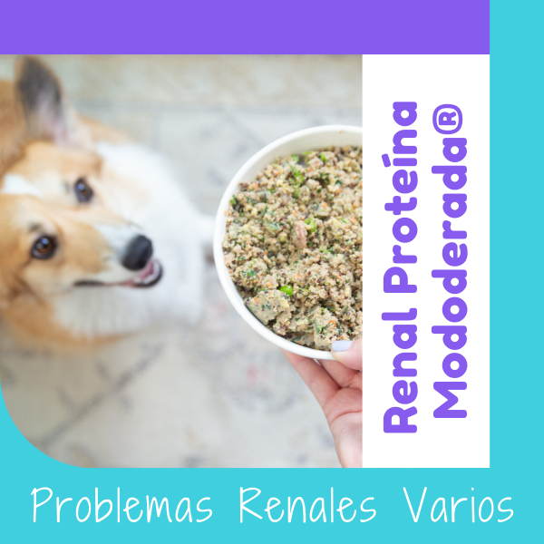 Dieta Renal Proteína Moderada®