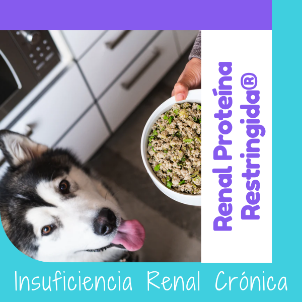 Dieta Renal Proteína Restringida OHMYDOG