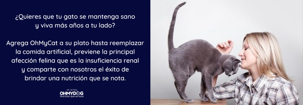 Alimento Natural para Gatos OhMyDog