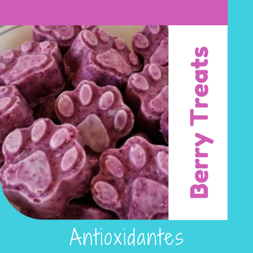 Berry OhMyDog Snacks Treats Perros y Gatos