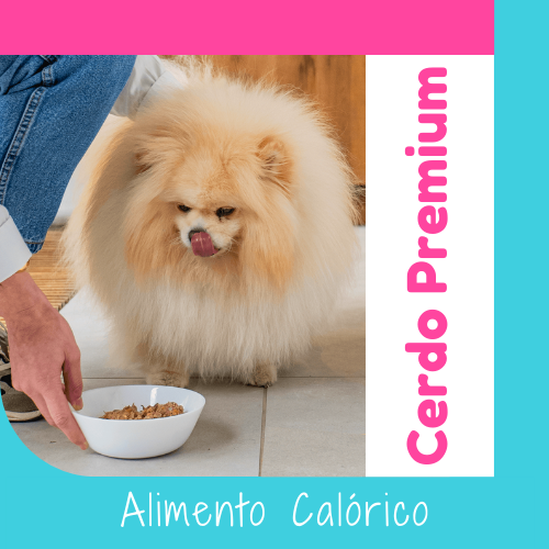 Cerdo Premium Alimento Natural OhMyDog