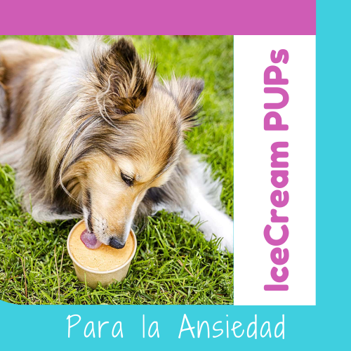 Sorbete Helados OhMyDog Snacks Treats Perros y Gatos