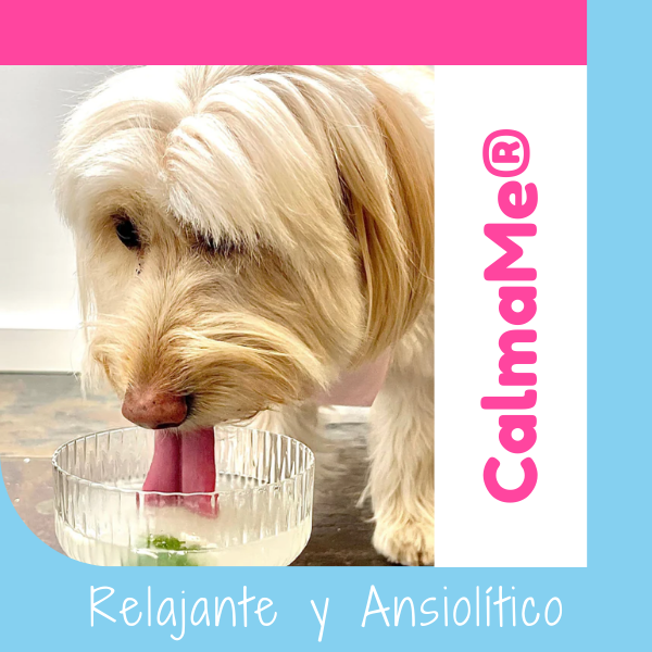 Caldo de Huesos Suplemento 100% Natural para Mascotas de OHMYDOG El Salvador