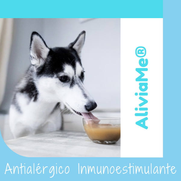 Caldo de Huesos Suplemento 100% Natural para Mascotas de OHMYDOG El Salvador