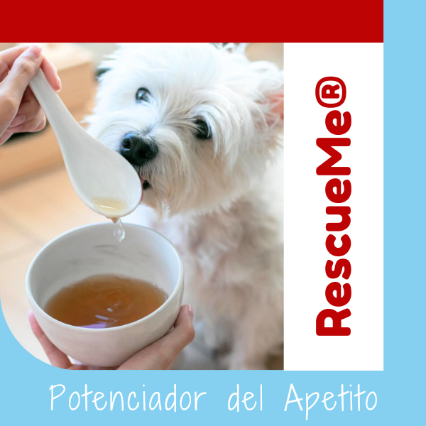 Caldo de Huesos Suplemento 100% Natural para Mascotas de OHMYDOG El Salvador