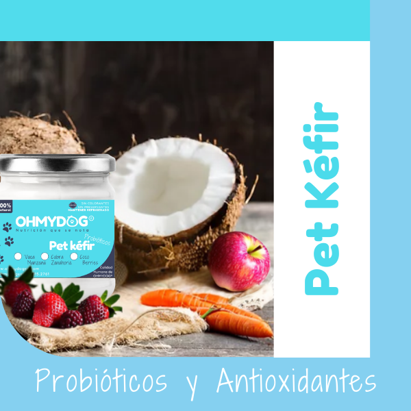Kefir PRobióticos Suplemento 100% Natural para Mascotas de OHMYDOG El Salvador