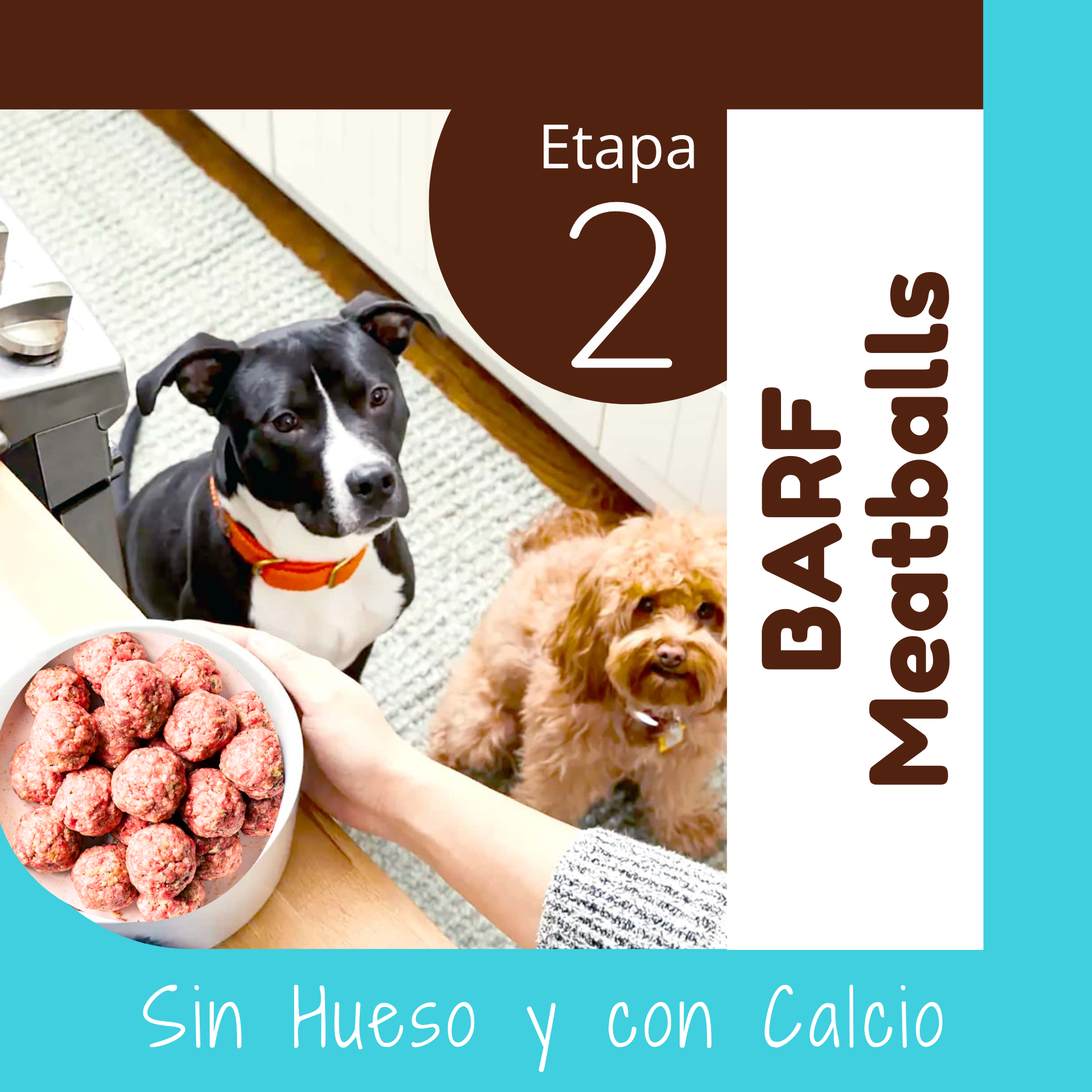 BARF RAW FOOD sin hueso OHMYDOG EL SALVADOR