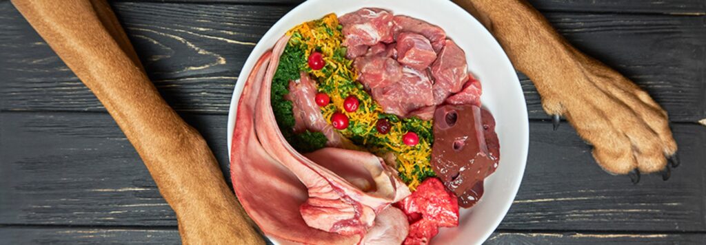 Dieta BARF de OhMyDog