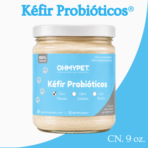 Kefir Probióticos®