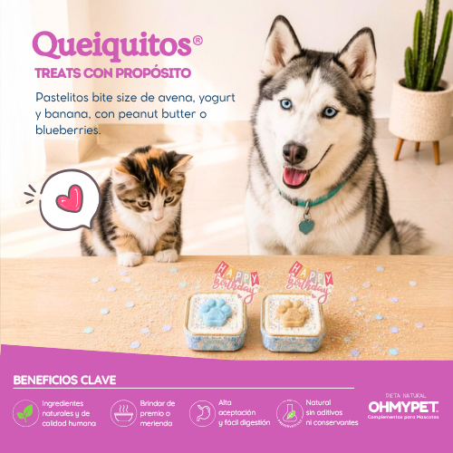 Queiquitos® - Imagen 3