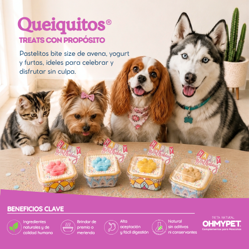 Queiquitos® - Imagen 4