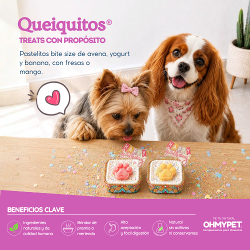 Queiquitos® - Imagen 2