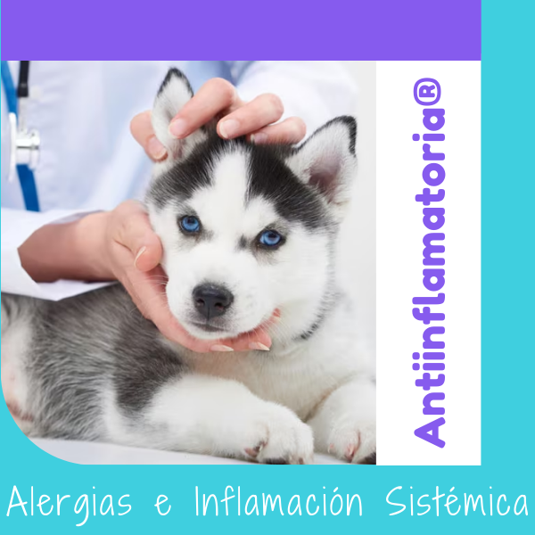 Dieta Antiinflamatoria®