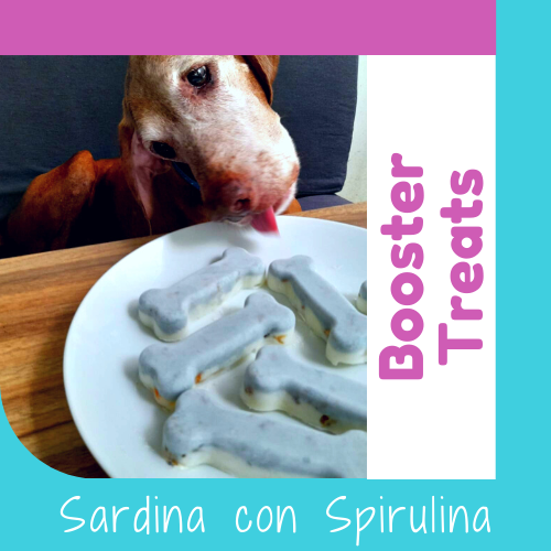 Booster Treats Naturales de Sardina con Spirulina OhMyDog El Salvador