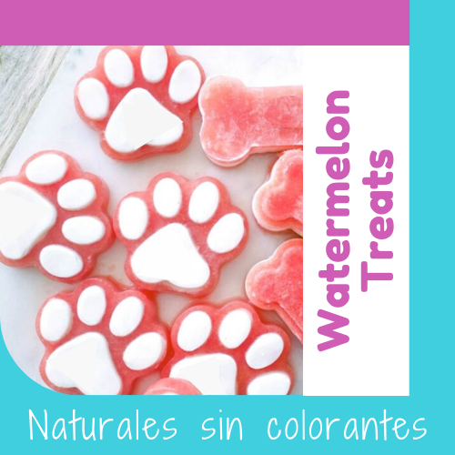 Watermelon Treats Naturales de Sandía