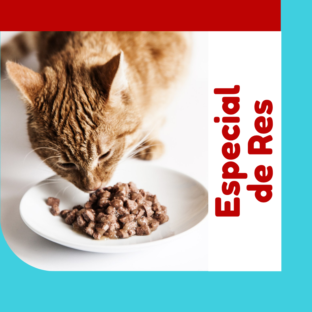 OhMyDog también hace Alimento Natural pra Gatos!