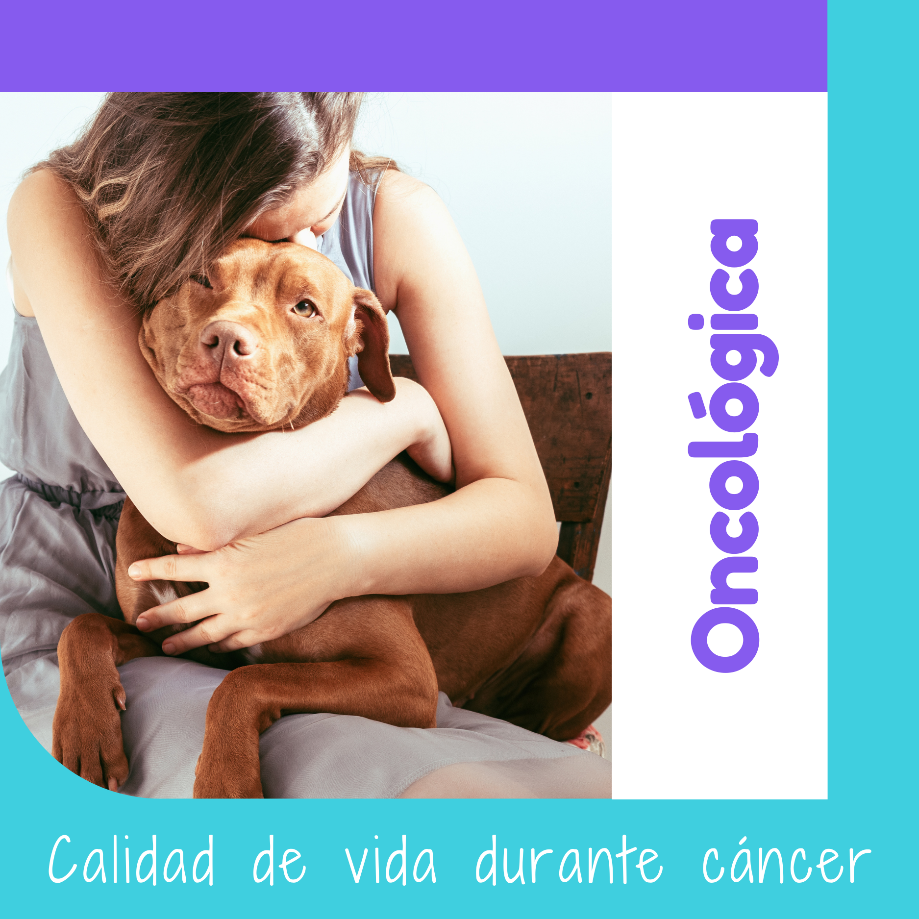 Dieta para el Cáncer Alimento Natural para Mascotas OhMyDog El Salvador