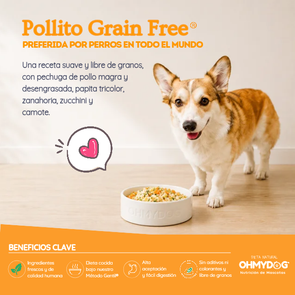 Dieta Alimento Natural cocida de Pollo grain free libre de granos con ingredientes reales para mascotas de OHMYDOG El Salvador