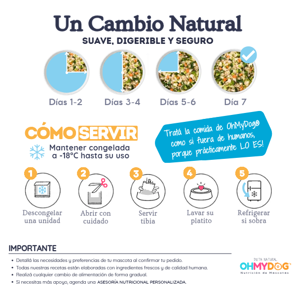 Como hacer el cambio de alimento natural con mi perro
