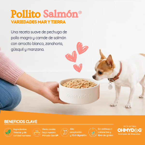 Pollito Salmón® - Imagen 2