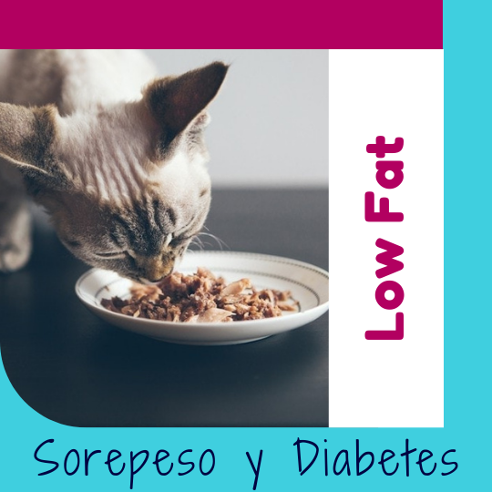 Alimento Natural para Gatos OhMyDog El Salvador