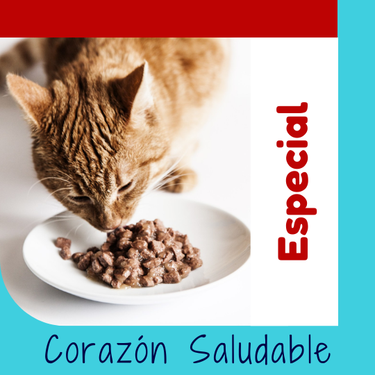 Alimento Natural para Gatos OhMyDog El Salvador
