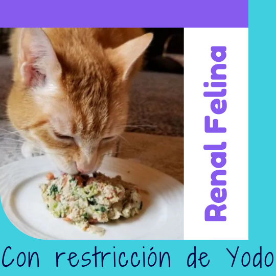Alimento Natural para Gatos OhMyDog El Salvador