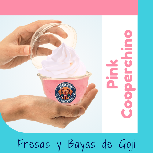 Cooperchino Pup Cup de OHMYDOG El Salvador