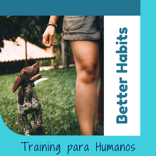 Better Habits Entrenamiento Canino OhMyDog El Salvaodr
