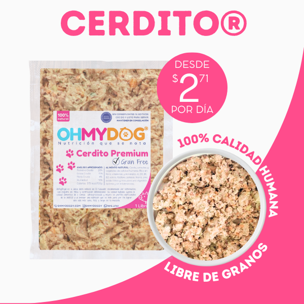 Cerdito Alimento Natural para Mascotas El Salvador (4)