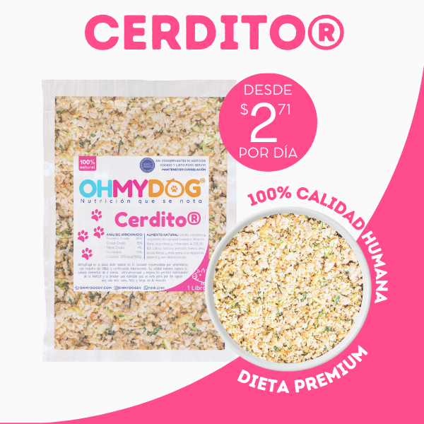 Cerdito Alimento Natural para Mascotas El Salvador