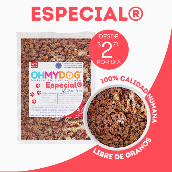 Especial de Res Alimento Natural para Mascotas El Salvador (4)