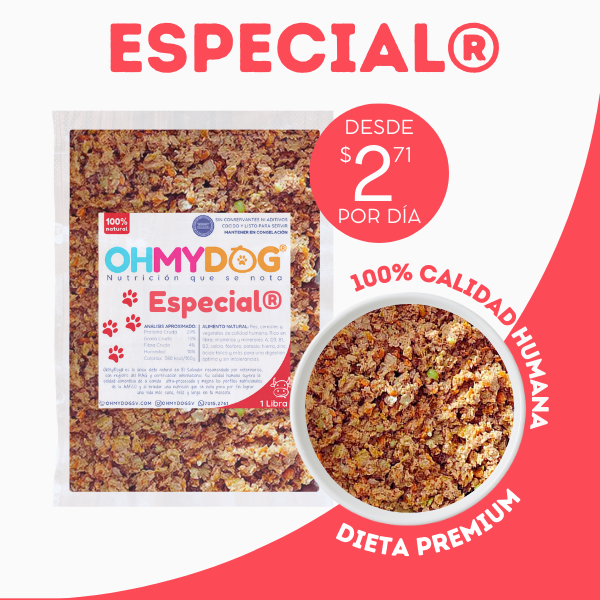 Especial de Res Alimento Natural para Mascotas El Salvador