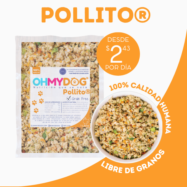 Pollito Alimento Natural para Mascotas El Salvador (4)
