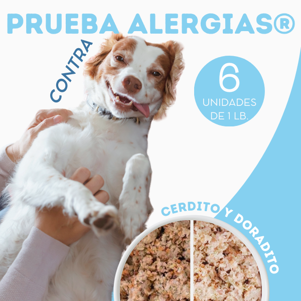 Prueba Contra Alergias Alimento Natural Perros