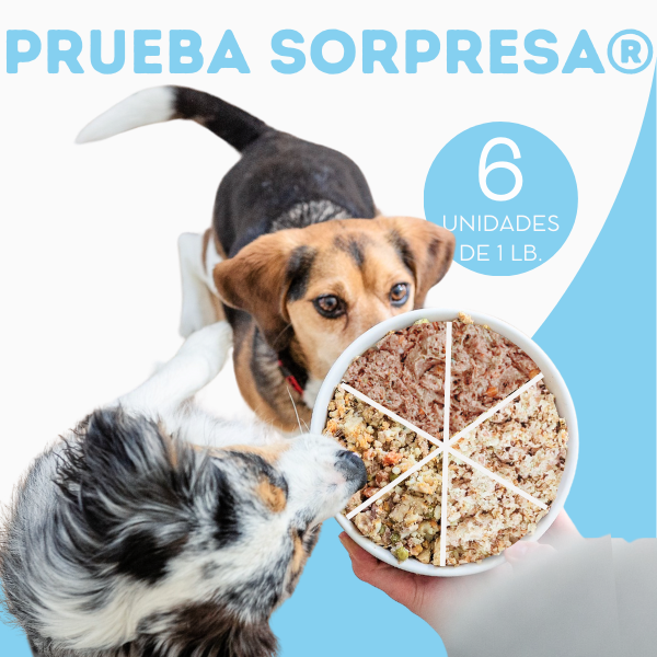 Prueba Sorpresa Alimento Natural Perros OHMYDOG El Salvador
