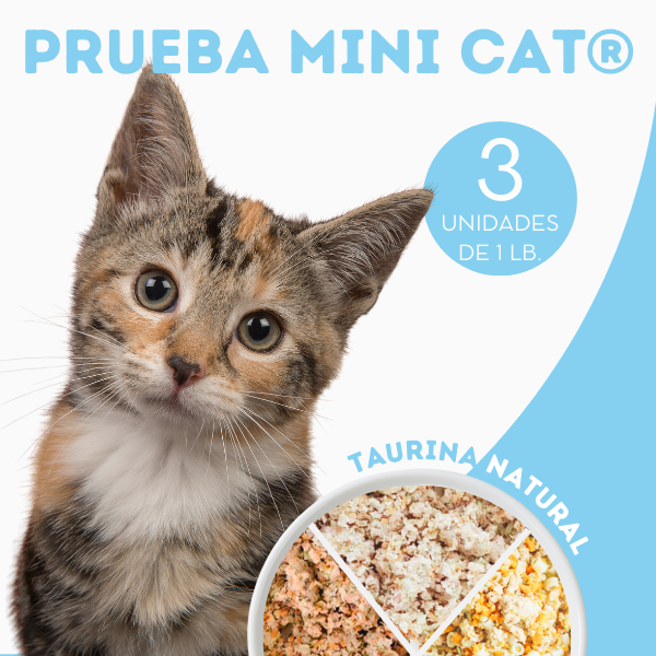 Prueba para Minis Alimento Natural Gatos (3)