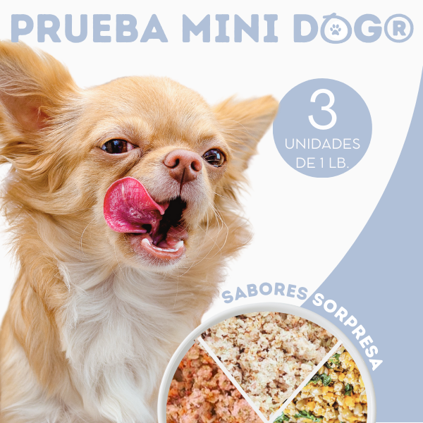 Prueba para Perros de Raza pequeña Alimento Natural