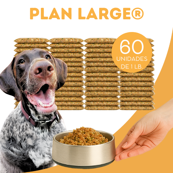 Plan Mensual Large Alimento Natural OhMyDog Oh My Dog